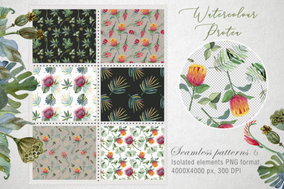 Watercolor Protea Patterns for Creative Projects